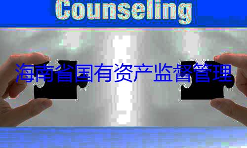 资产监督管理委员会党查调查委副书记王海南省国有有福接受审
